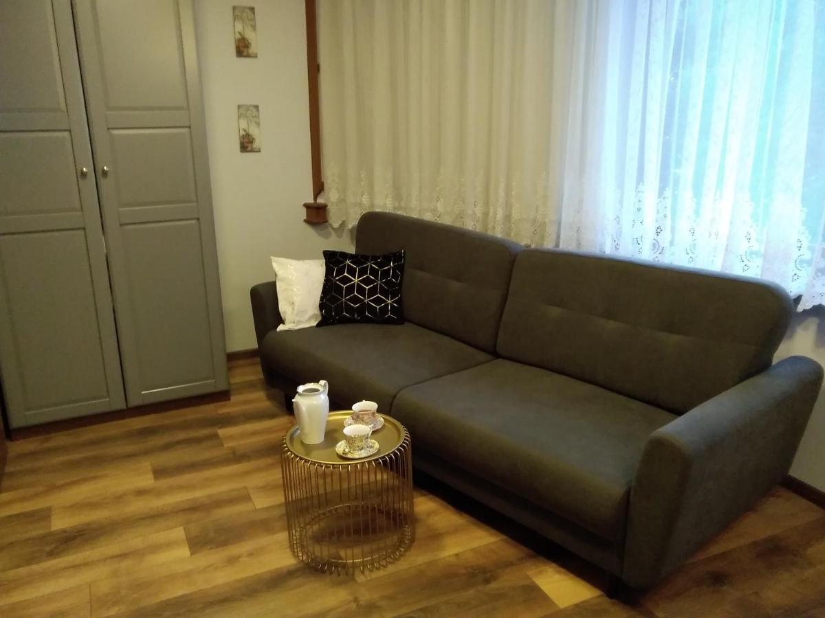 Secesja House Apartment Освиенцим Екстериор снимка